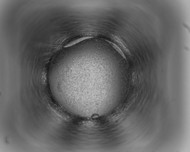 X0000094800259200711301545