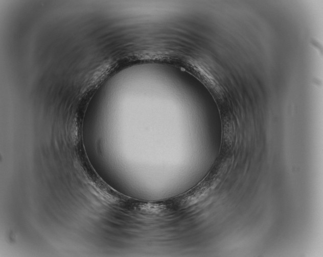 X0000094800261200711301545