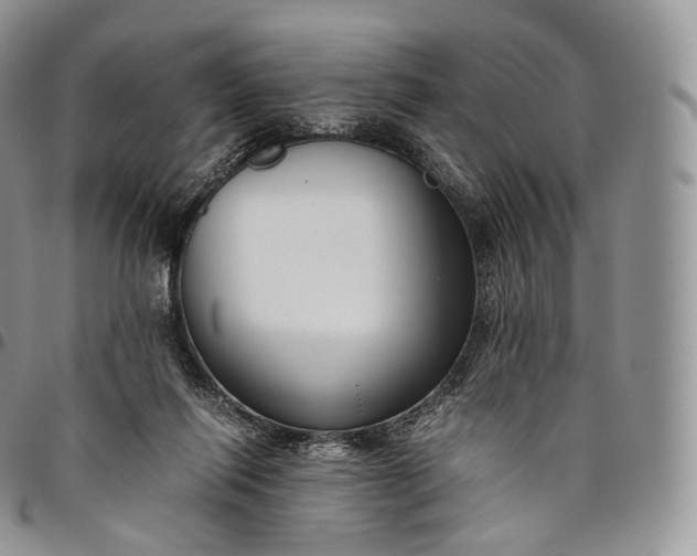 X0000094800262200711301545