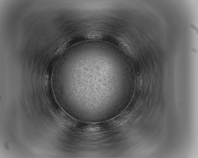 X0000094800263200711301545