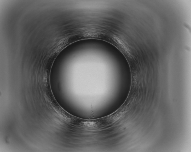 X0000094800265200711301545