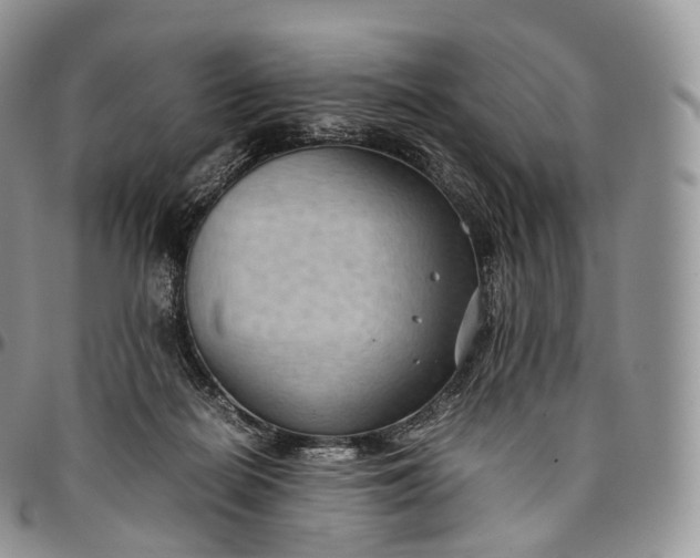 X0000094800266200711301546