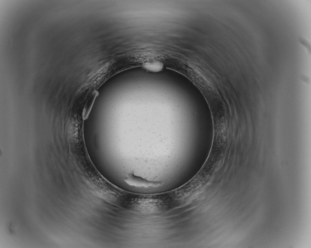 X0000094800268200711301546