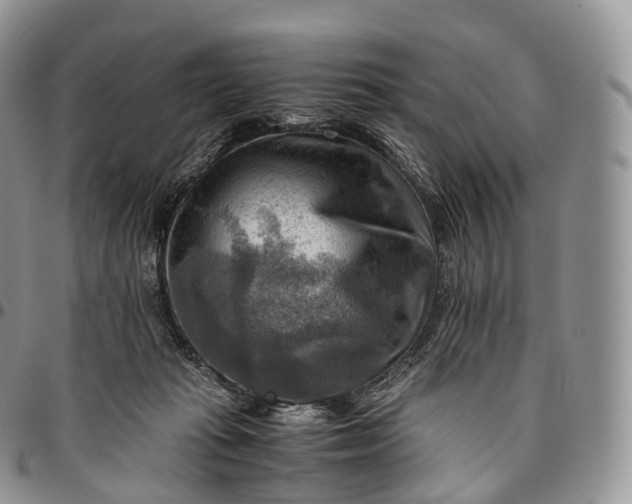 X0000094800269200711301546