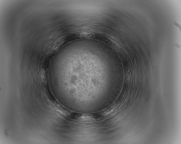 X0000094800270200711301546