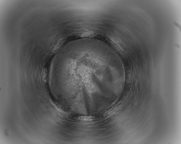 X0000094800273200711301546