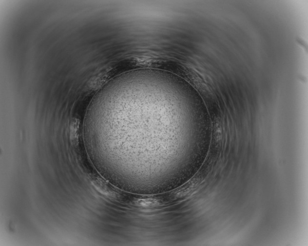 X0000094800275200711301546