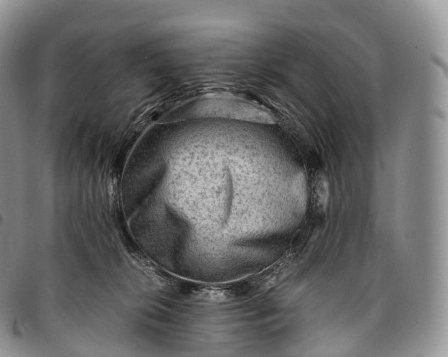 X0000094800276200711301546