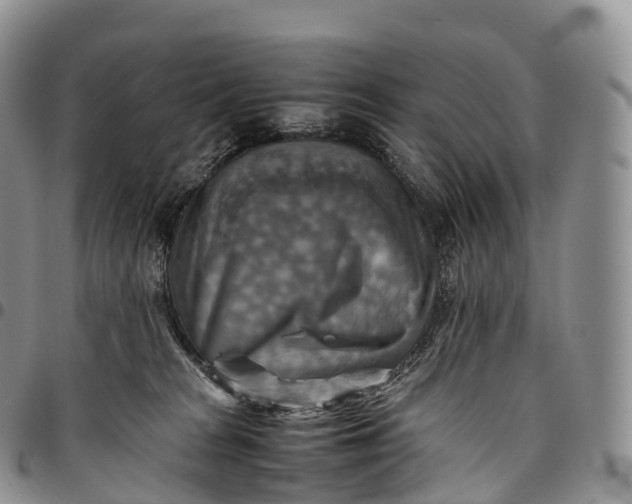 X0000094800277200711301546