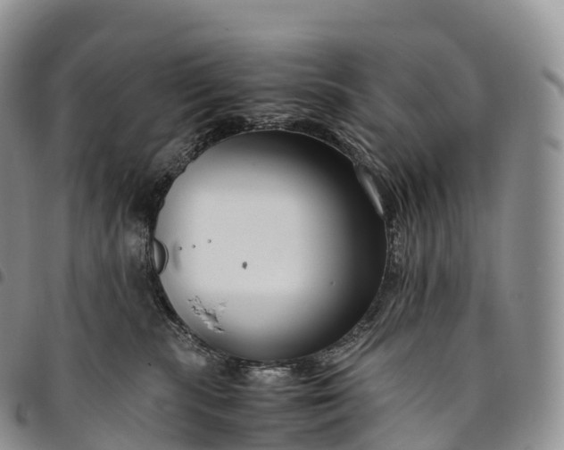 X0000094800283200711301546