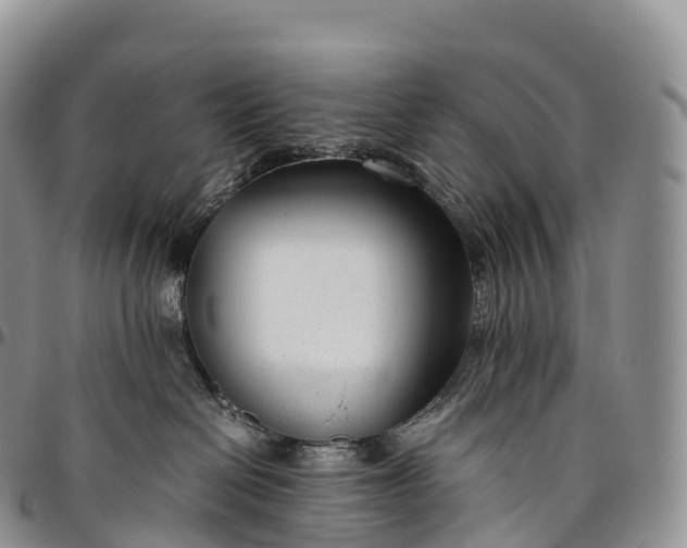 X0000094800286200711301546