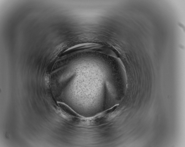 X0000094800288200711301546