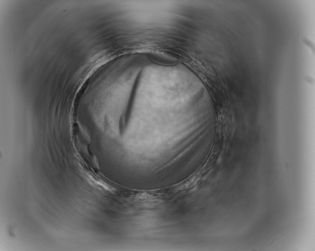 X0000094800290200711301545