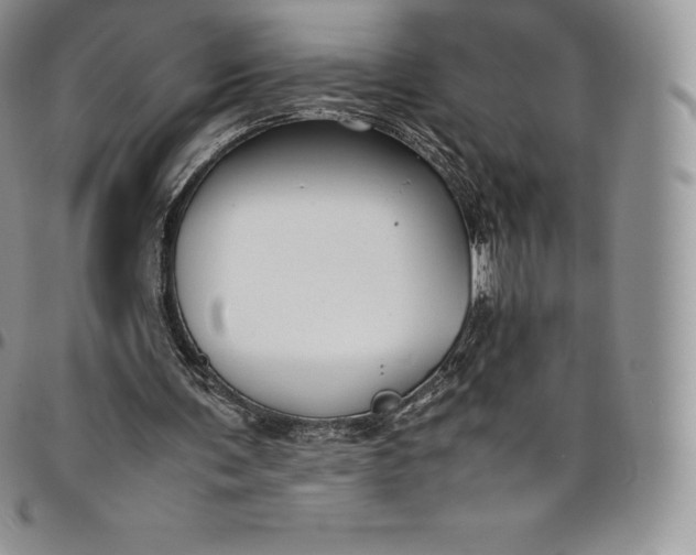 X0000094800291200711301545