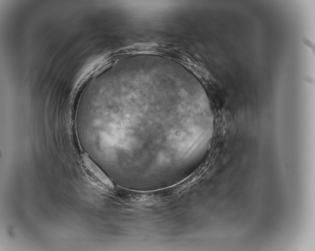 X0000094800293200711301545