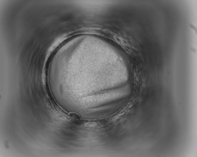X0000094800294200711301545