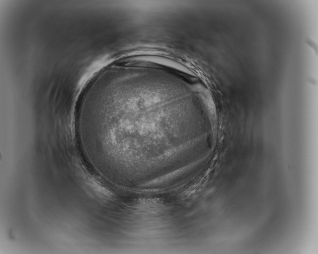 X0000094800296200711301545