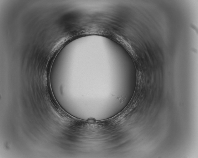 X0000094800298200711301545