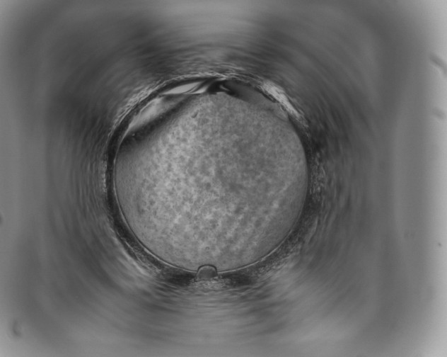 X0000094800299200711301545