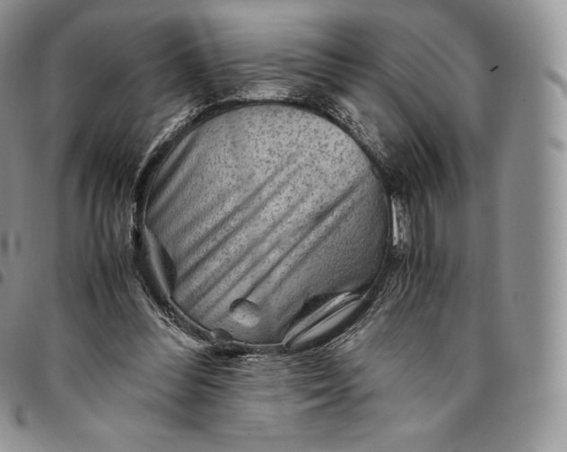 X0000094800300200711301545