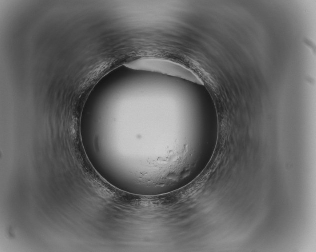 X0000094800305200711301545