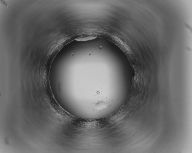 X0000094800306200711301545