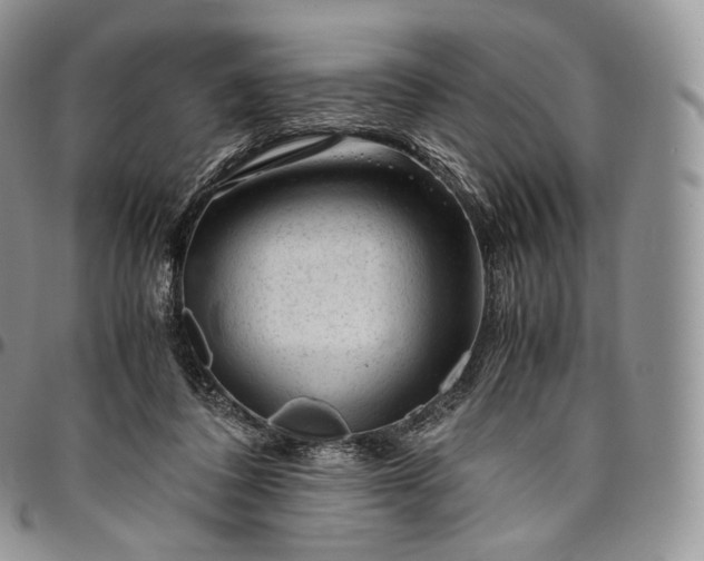 X0000094800308200711301545