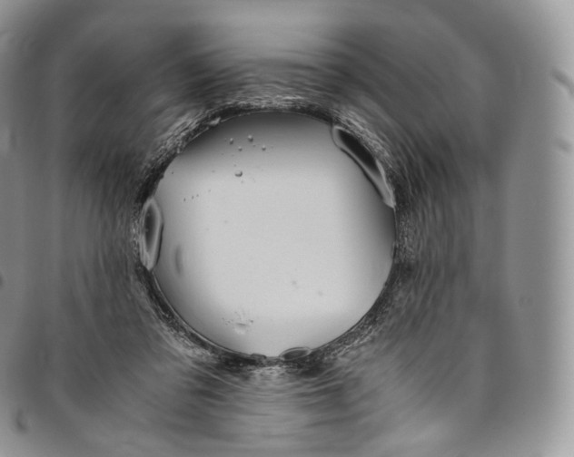 X0000094800309200711301545