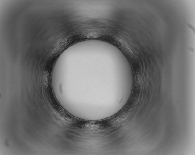 X0000094800311200711301545