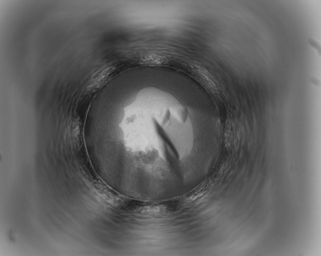 X0000094800314200711301545