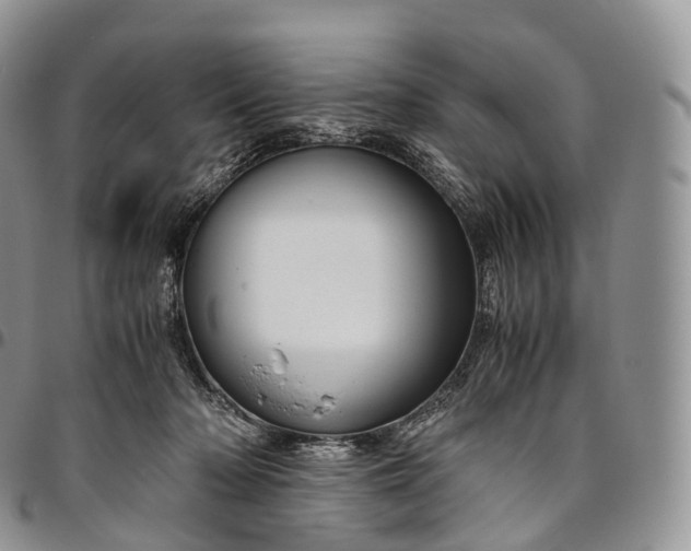 X0000094800318200711301545