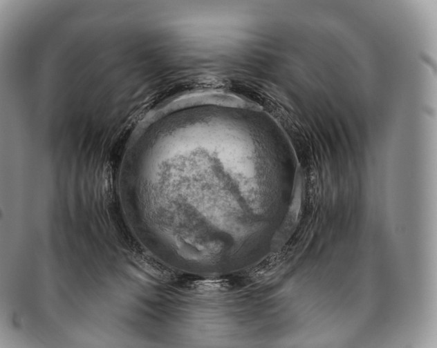 X0000094800320200711301545