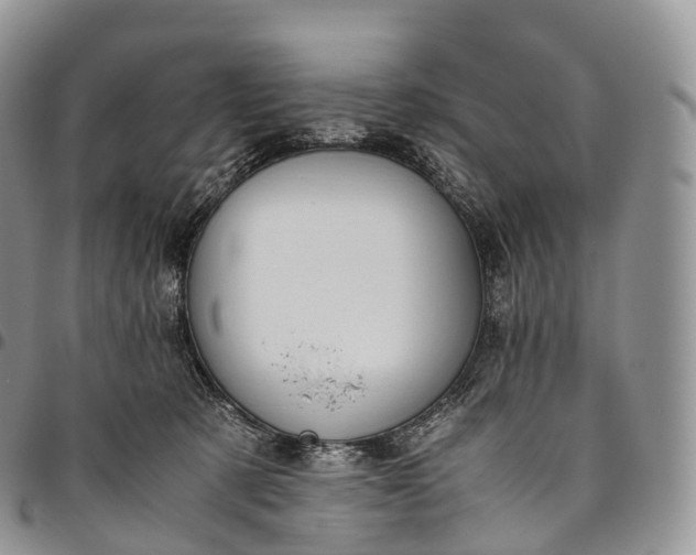 X0000094800321200711301545