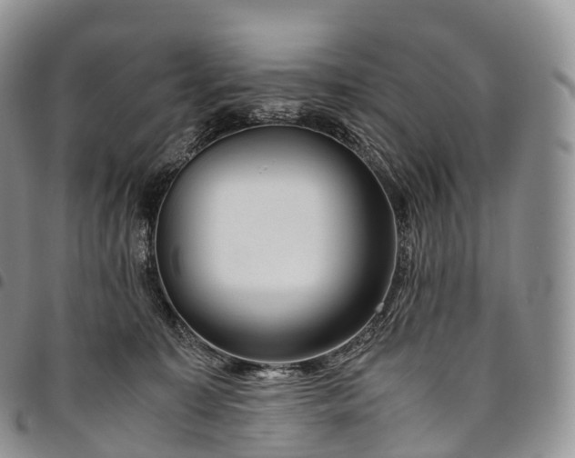 X0000094800323200711301545