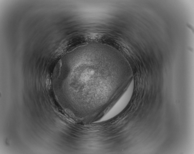 X0000094800324200711301545