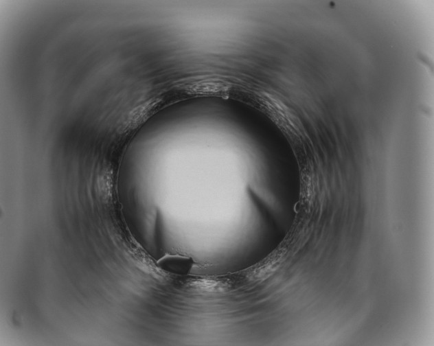 X0000094800326200711301545