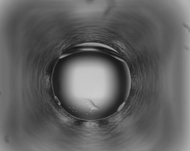 X0000094800327200711301545