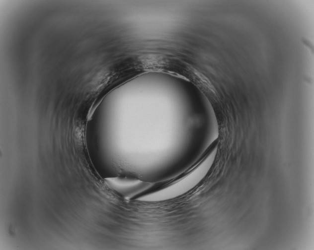 X0000094800329200711301545