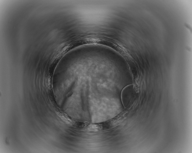 X0000094800330200711301545