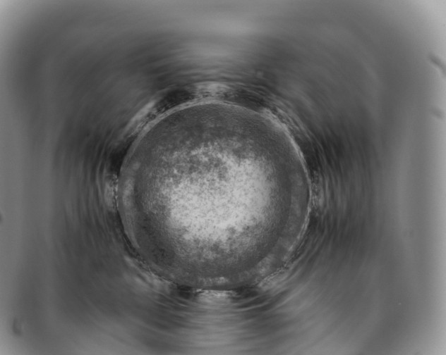 X0000094800332200711301545