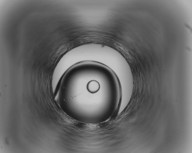 X0000094800333200711301545