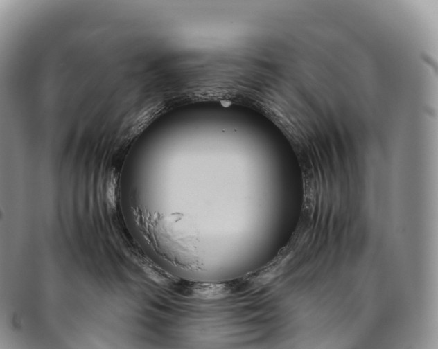X0000094800334200711301545