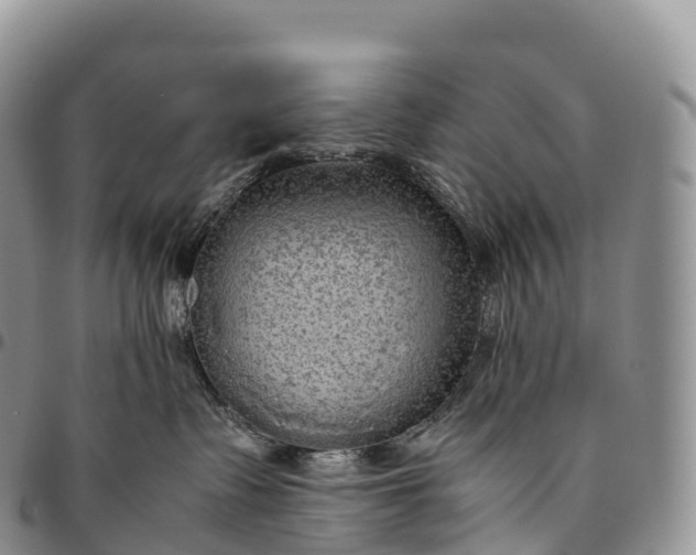 X0000094800335200711301545