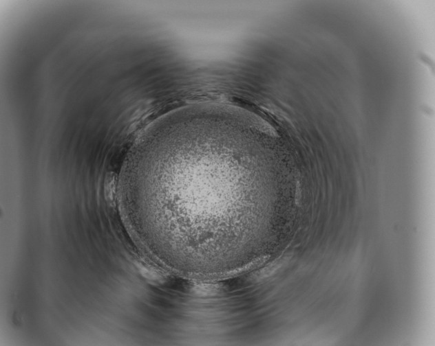 X0000094800336200711301545