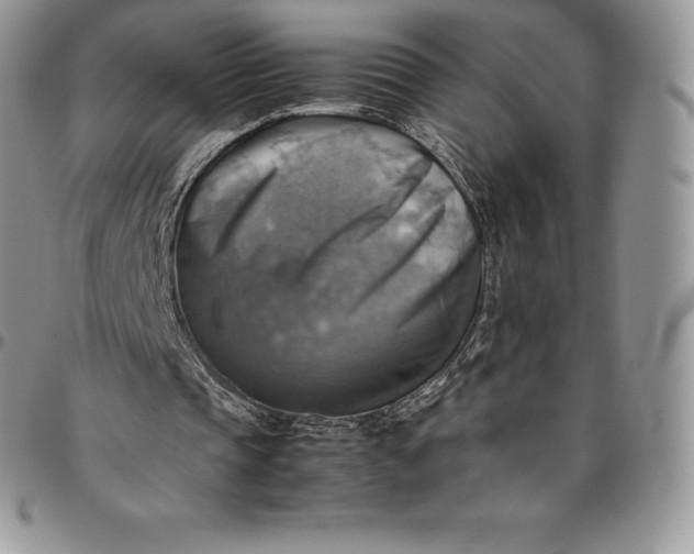 X0000094800337200711301544