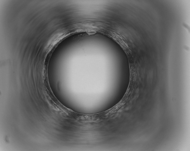 X0000094800338200711301544