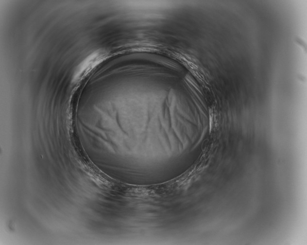 X0000094800339200711301544