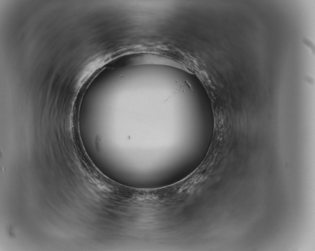 X0000094800340200711301544