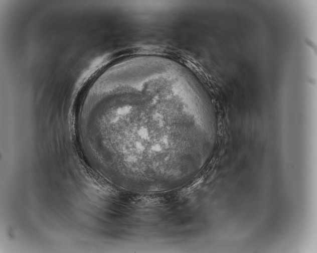 X0000094800343200711301544
