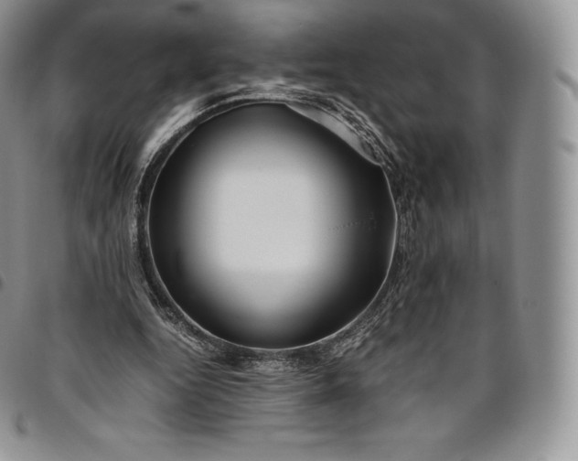 X0000094800344200711301544